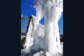 零下6度！今晨丽水传来一组冰雪奇观，叹为观止！你估计没见过……图片