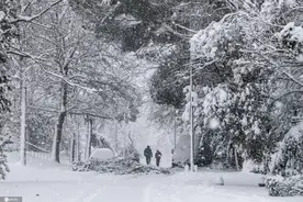 西班牙首都马德里遭遇50年来最强暴雪图片