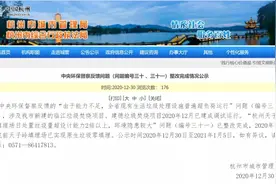 杭州天子岭填埋场要关停？这些板块的高光时刻到来了图片