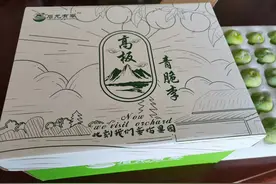 希望的田野①｜谷宇：“果园农夫”的创新农业梦图片