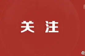 禁止拼装机动车交易！河南：规范报废机动车回收管理图片