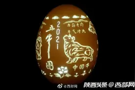 160个鸡蛋壳上雕刻800头牛 杨凌闻福良用特殊艺术迎牛年图片