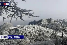 美！雪后华蓥山等你来“入画”图片