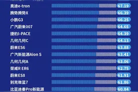 内饰、做工成吐槽重灾区，《2020新能源汽车口碑榜》发布图片