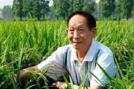得到授权书的公司注册袁隆平抖音号，其股东有多条风险记录视频封面