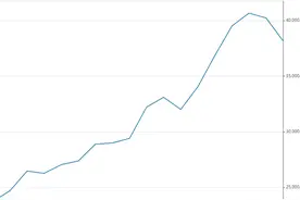 比特币的魔幻一年：从跌60%到暴涨8倍，矿工自称赌徒图片