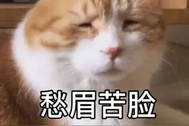 杭州一男子年底被开除，一台冰箱又把他带进噩梦…图片