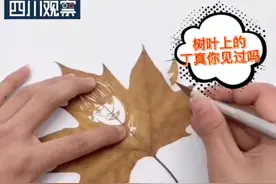 绝了！成都手艺人30分钟刻出“树叶上的丁真”图片