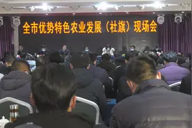 全市优势特色农业发展现场会在社旗县召开图片