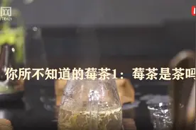 你所不知道的莓茶｜莓茶是茶吗？图片