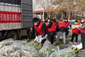 40吨莴苣送抵石家庄，他们说：这一趟来值了图片