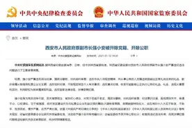 西安原副市长被双开！长期以曾用名示人，名校毕业回原籍蛰伏20年，将开发区建设当筹码图片