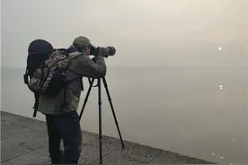 在西湖边拍鸟的程师傅，无意中拍到了太阳的几颗“痣”！专家说这很常见图片