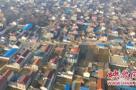 淮阳区刘振屯乡王三楼村：激发乡村活力 铺就产业“致富路”图片
