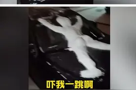 东北男子车上现“尸体状雪人”，主人又气又无奈：这人咋这么损呢图片