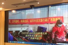 500吨沙糖桔发车！“南果北卖”助力广西农产品卖出好价图片