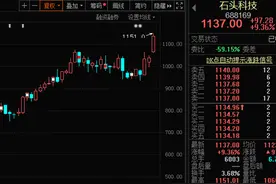 魔咒为何失效，巨量解禁之际，“最硬”石头创新高！4000亿机械龙头大震荡，资金出逃的抱团股曝光图片