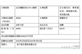 成交价超6亿，瑞马集团太白湖新区出手拿地图片
