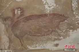 世界最古老洞穴壁画曝光 可追溯至4.5万年前(图)图片