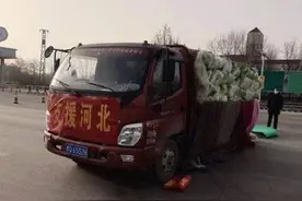10小时日夜兼程，山东小伙为河北送去万斤白菜图片