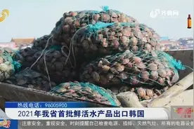 即报即审即放！烟台海关提前监控检测，助力鲜活水产品走出国门视频封面