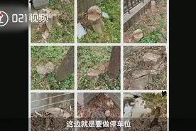 ​上海一业委会违法毁绿700平米造停车场，有关部门：未收到改造申请，将处以绿化补偿标准五至十倍罚款视频封面