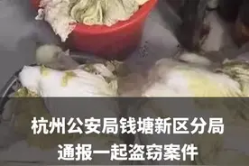 东北大妈馋酸菜偷600斤白菜被拘，网友：600斤怎么拿走的？图片