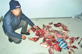 林中下套非法捕猎 猎物被当场剥皮肢解图片