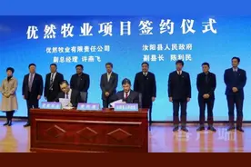 总投资43.8亿元！汝阳县集中签约5个重大项目图片