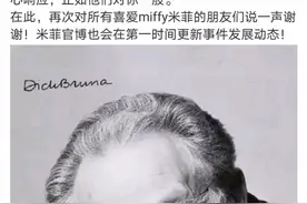 广美教授回应抄袭米菲兔指称：一切商业符号都是艺术创作语言图片