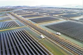 渔光互补 海涂新景图片