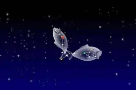 星座说｜双鱼座：被上帝赋予了天赋的“宠儿”图片