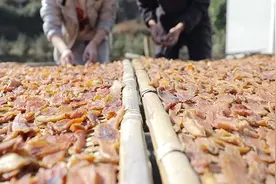 江西兴国：倒蒸红薯干 香甜客家味视频封面