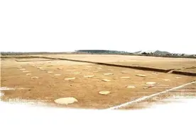 陕西发现秦始皇政务大殿遗址，顶部复原面积约1000平方米图片