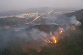 广州花都山火最新航拍画面：仍有多处明火，救援队彻夜扑救视频封面