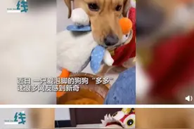 狗子泡脚上瘾，不让泡就哼哼唧唧撒娇推都推不走，最后表情亮了图片