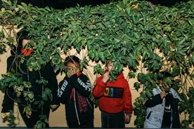 服刑人员未成年子女救助现状：因父母正在服刑，孩子成为事实孤儿，来自外界的歧视等问题难解决图片