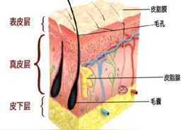 皮肤也有“皮肤”？医生教你科学防治冬季皮肤瘙痒图片