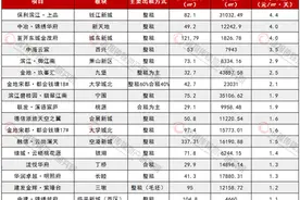 杭州第一批自持物业将上市 具体怎么做怎么租？图片