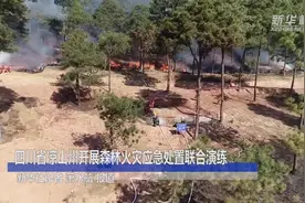四川省凉山州开展森林火灾应急处置联合演练视频封面
