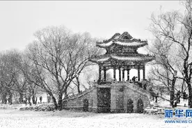 美如铅笔画！黑白片儿拍雪景也能拍出如此唯美意境图片