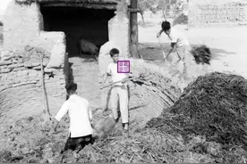 1966年，德州农村景象图片