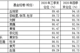 首批基金四季报来了！工银瑞信袁芳、银华李晓星、平安李化松、中庚丘栋荣等知名基金经理最新重仓股大曝光图片