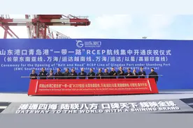 全球最大自贸区起航，山东如何抢抓机遇和红利图片