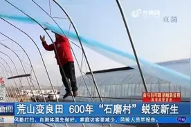 淤泥修梯田,千亩荒山变致富良田，600年“石磨村”果蔬飘香焕新颜视频封面
