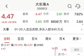 股市海南｜海南板块尾盘异动 大东海A狂飙15%冲至涨停图片