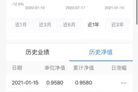 嘉实基金陷“净值风波”：旗下固收专户产品单周下跌近11%图片