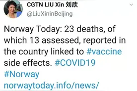CGTN 主播刘欣遭外媒指责 外国网友评理：你戳到了他们痛处图片