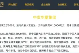 潜望丨国企挂靠江湖调查：假央企上演变形记，黑掮客游走灰色地带图片