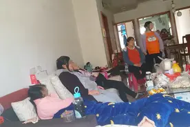 被出租的子宫图片